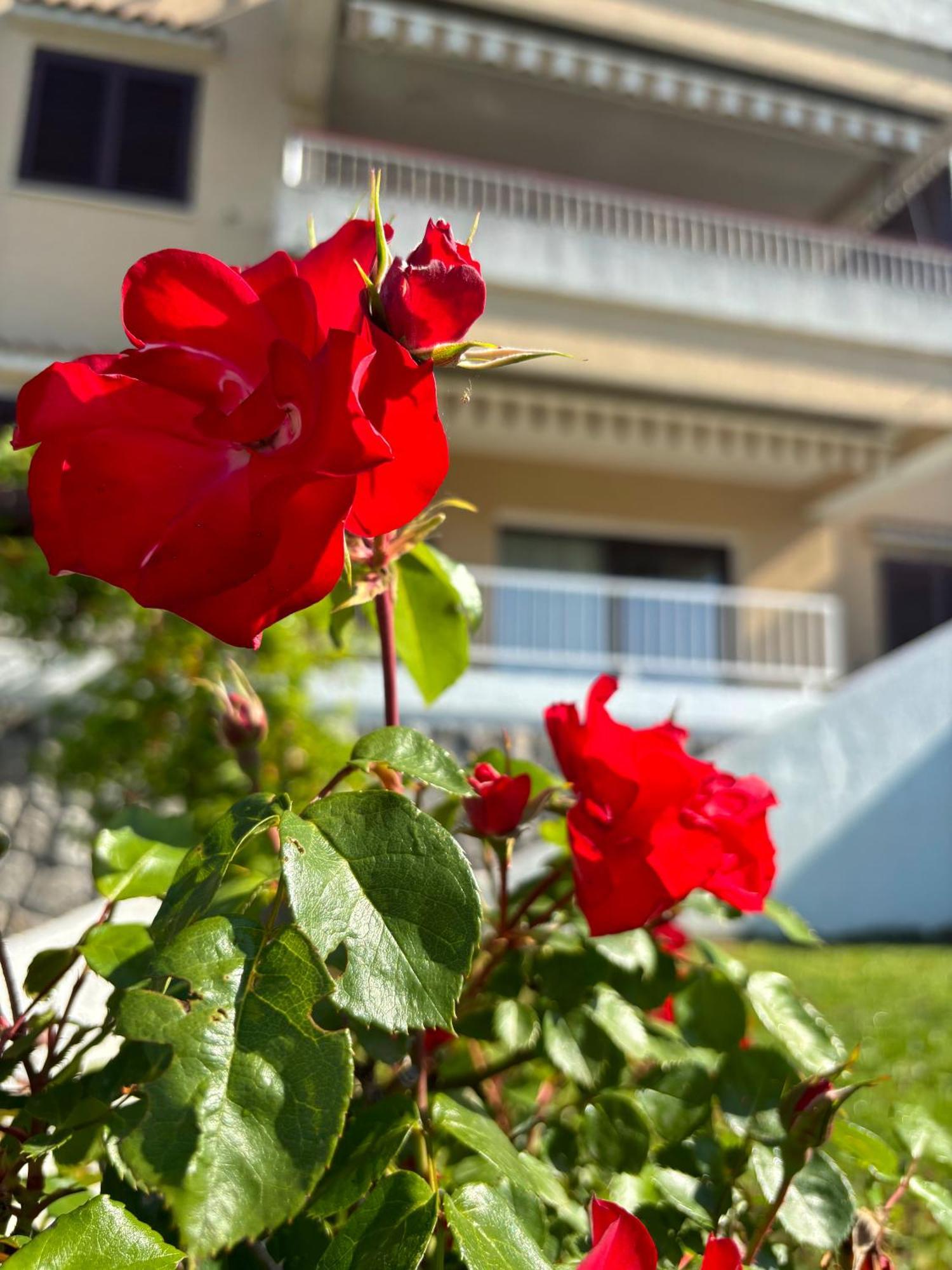 Va Kastav Apartment Exterior photo